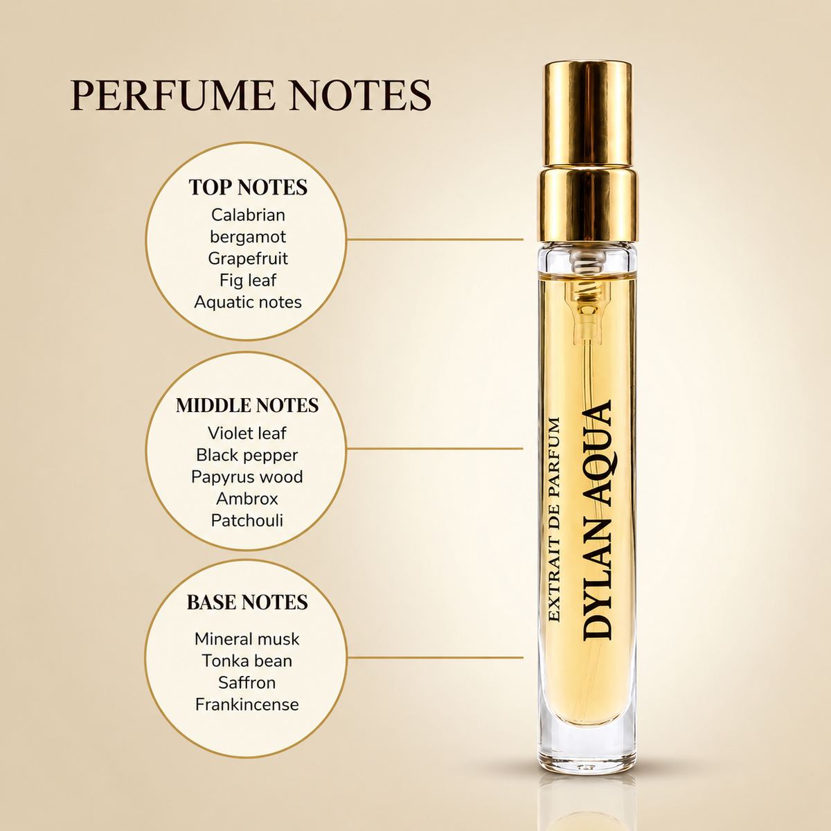 Dylan Aqua – Extrait de Parfum 10ml | Fresh Aquatic Woody Fragrance