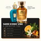 Meeran ERBA PURE Extrait De Parfum – A Bold Luxury Unisex Fragrance
