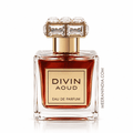 Fragrance World Divin Aoud 100ML EDP Perfume