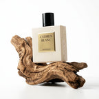 Rayhaan Cedrus Blanc Eau De Parfum 100ml For Man & Woman